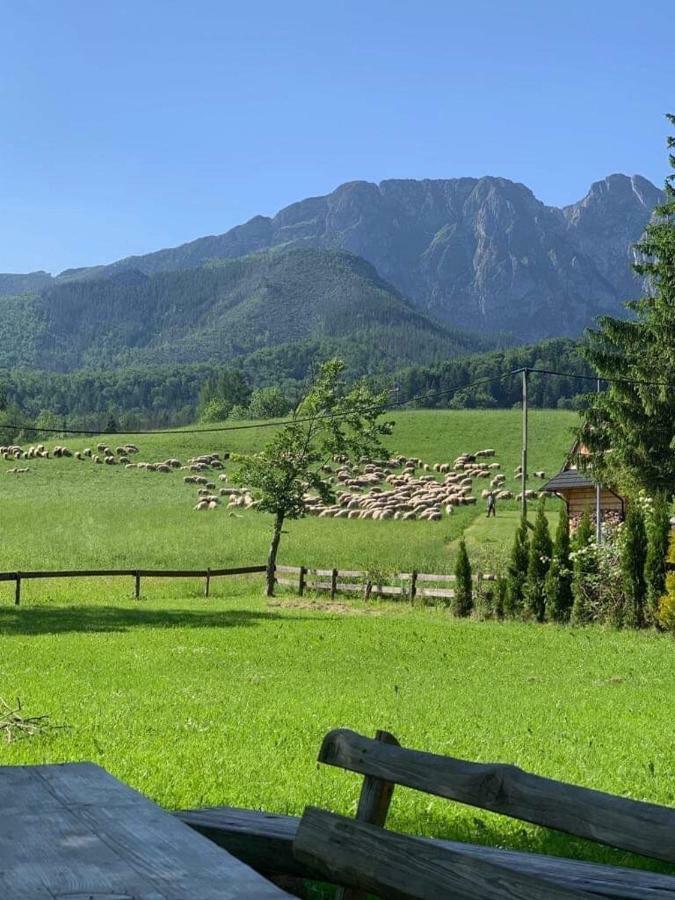 Bacowka Na Bundowkach Lejlighed Zakopane Eksteriør billede